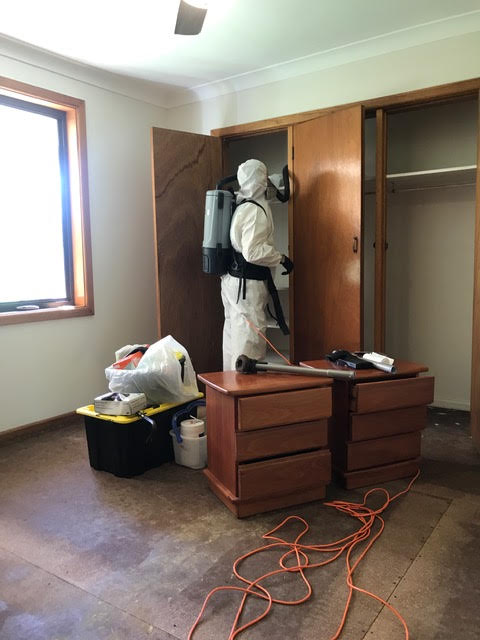 Hepa vacuuming all surfaces before treatment, clearing dust and mould spores